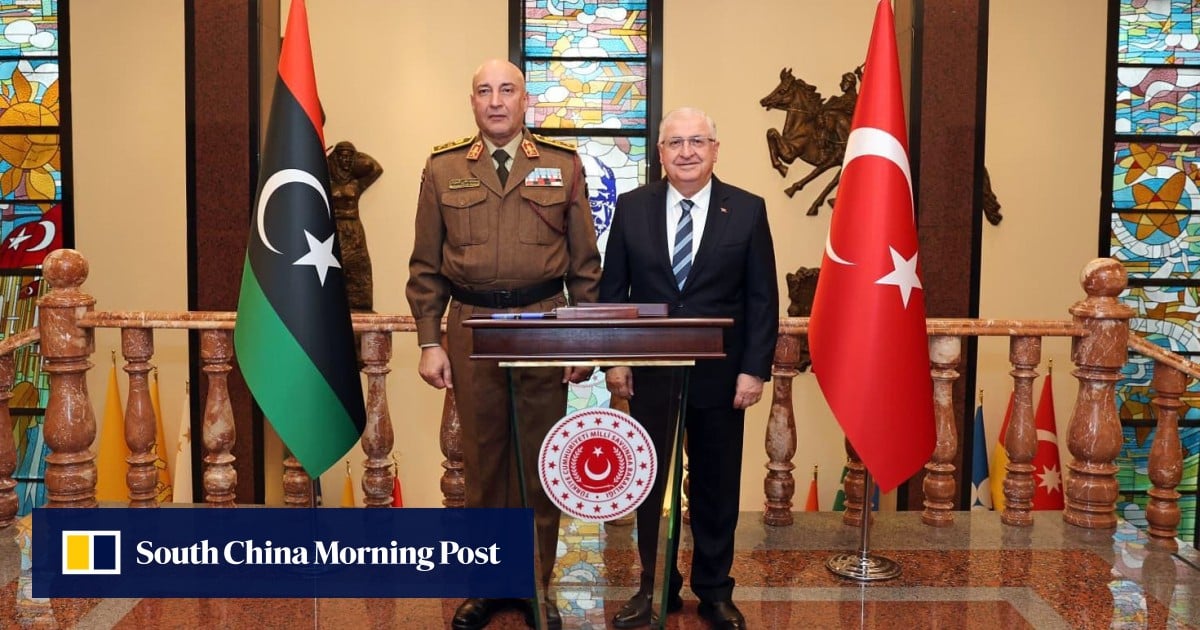 Libya army chief and 4 others killed in Turkey plane crash