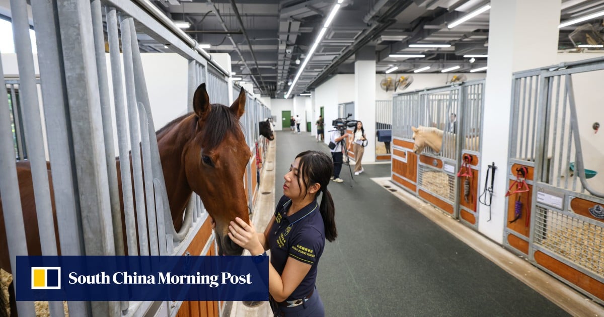 District councillors call for more public amenities in Hong Kong Jockey Club school bid