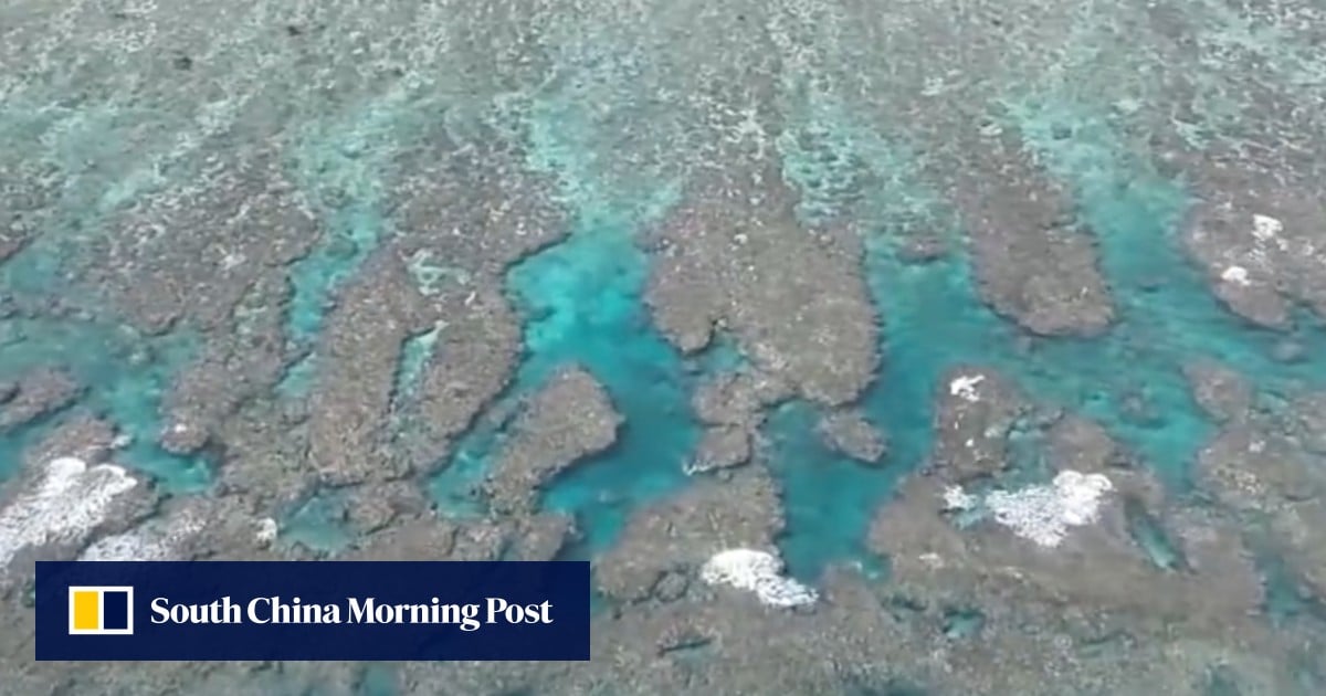 China suggests ‘illegal’ Philippine fishing is damaging disputed Scarborough Shoal