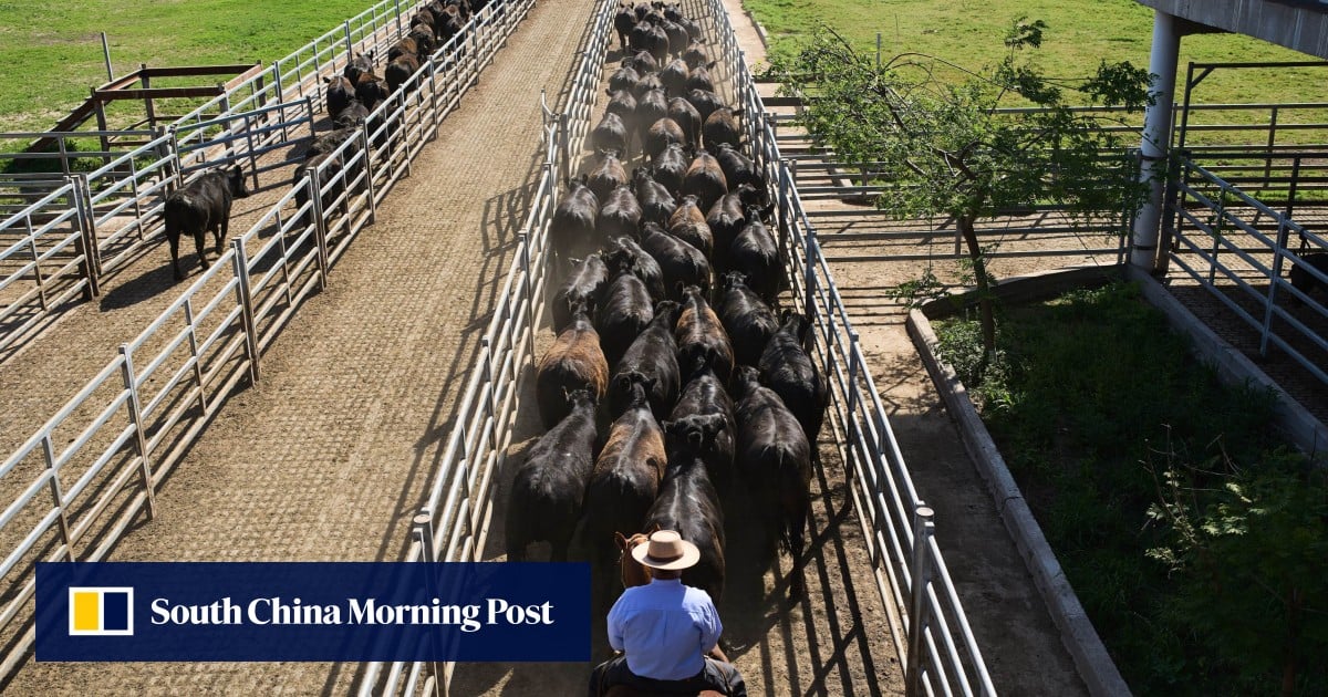 China imposes beef-import quota, slaps over-quota tariffs to shield local industry