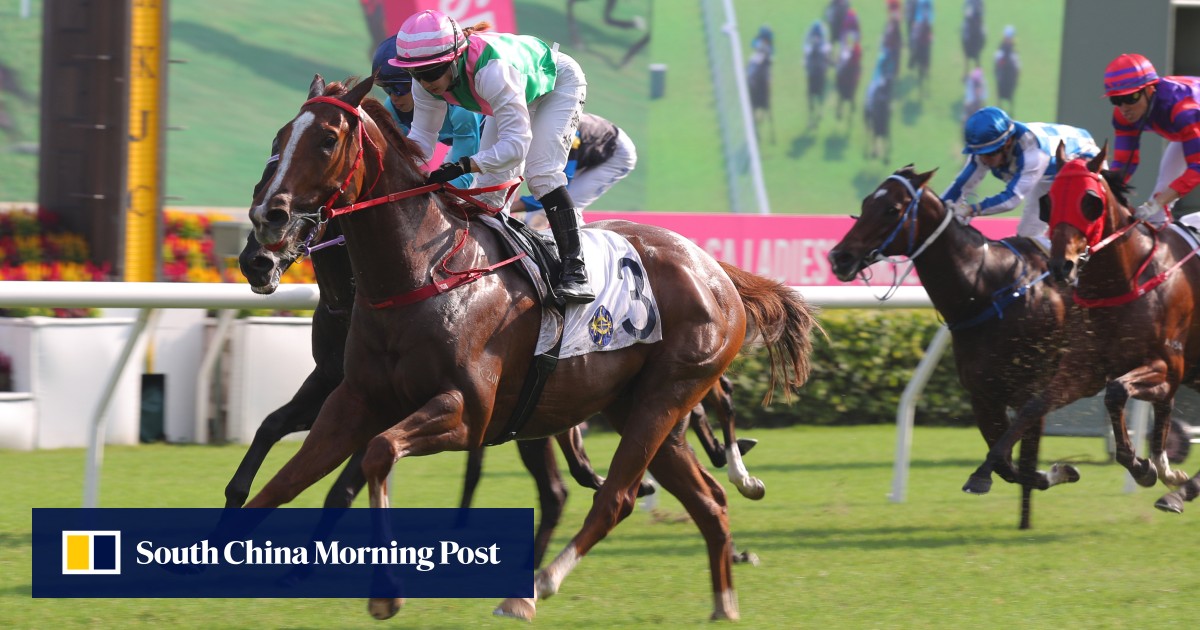 Who wins at Sha Tin? Circuit Grand Slam can be a knockout bet