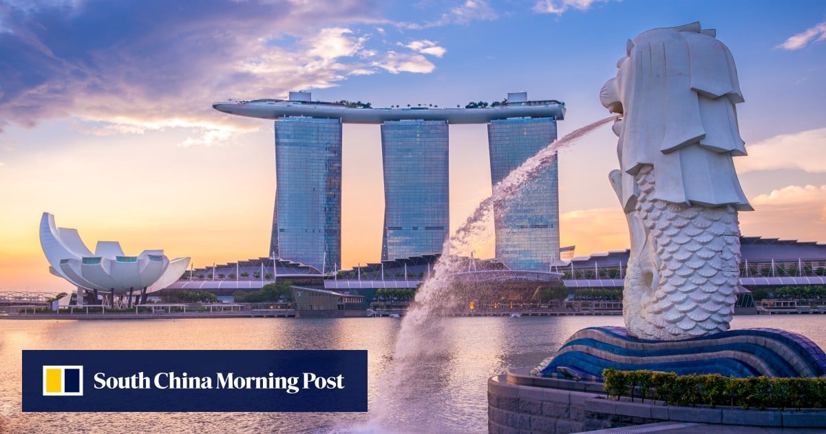 Debate on Singapore’s elite schools flares as ex-student recalls ‘privileged’ years