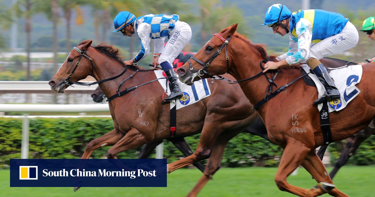 Storm Rider takes advantage of light weight and sublime Karis Teetan ride to bag Group Three