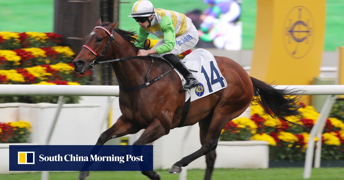 Rising Force lands massive betting plunge as Smart Golf lights up the turf at Sha Tin