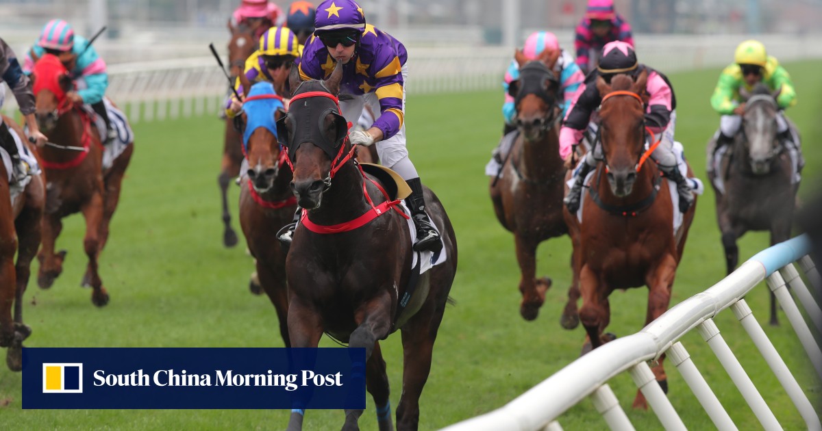 Wunderbar and Stellar Express headline John Size’s assault on Group Three Bauhinia Sprint Trophy