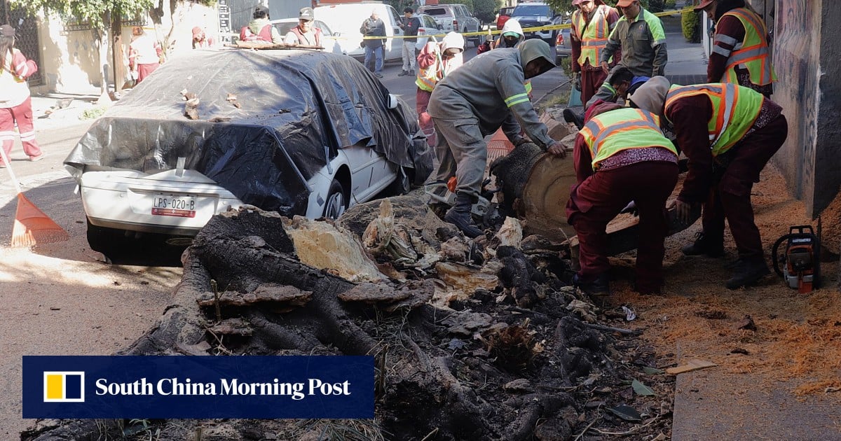1 dead, 12 injured as 6.5-magnitude quake shakes Mexico City and beach resort