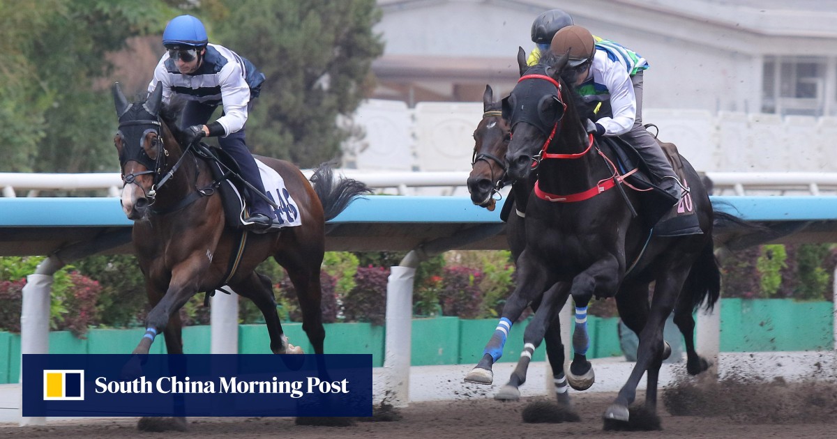 Mark Newnham hoping to be ‘pleasantly surprised’ as Brazilian Group One winners do battle