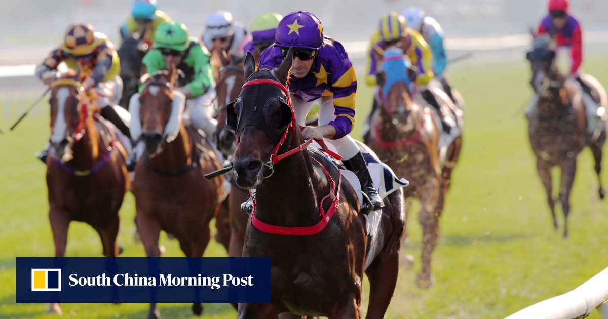 Stellar Express runs riot in Group Three feature to keep John Size marching up the table