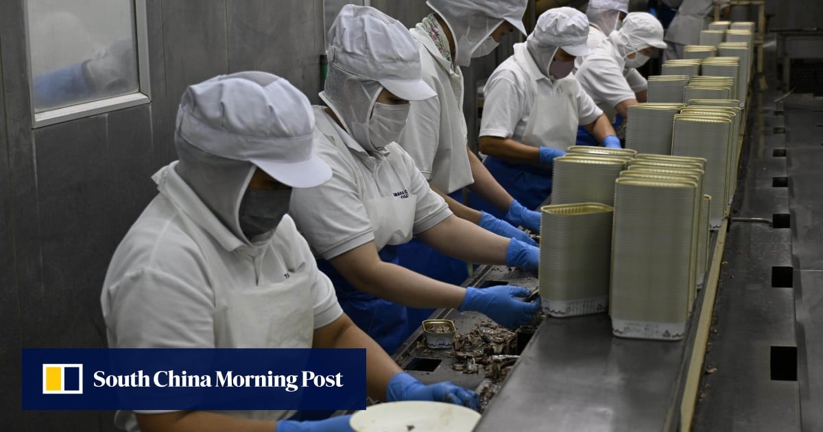 How this Japanese small-town cannery keeps fishing industry afloat amid labour shortage