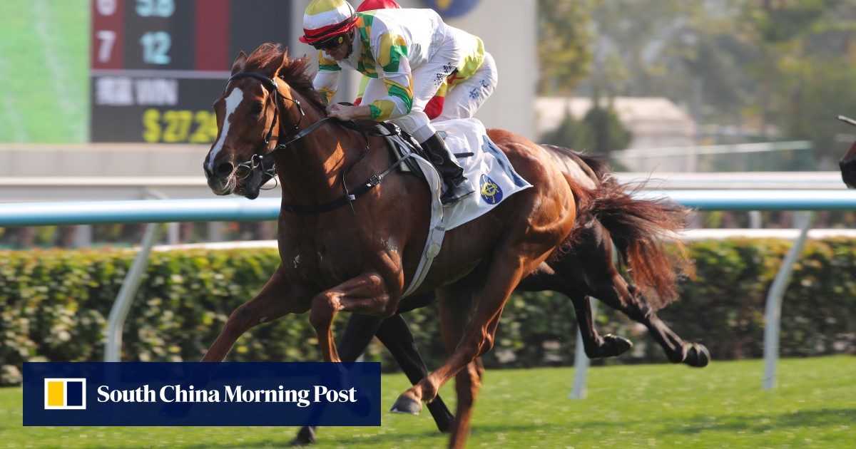 Sagacious Life one of two Classic Mile options for Zac Purton after fighting Sha Tin victory