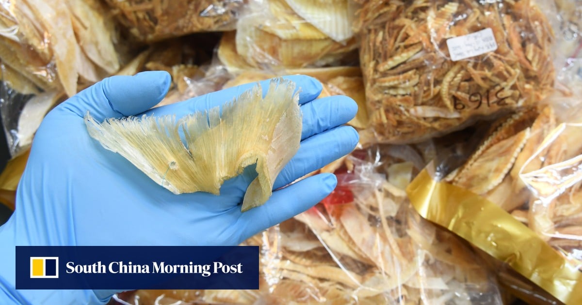 6.5% of shark fins sold in Hong Kong are protected, much higher than reported: study