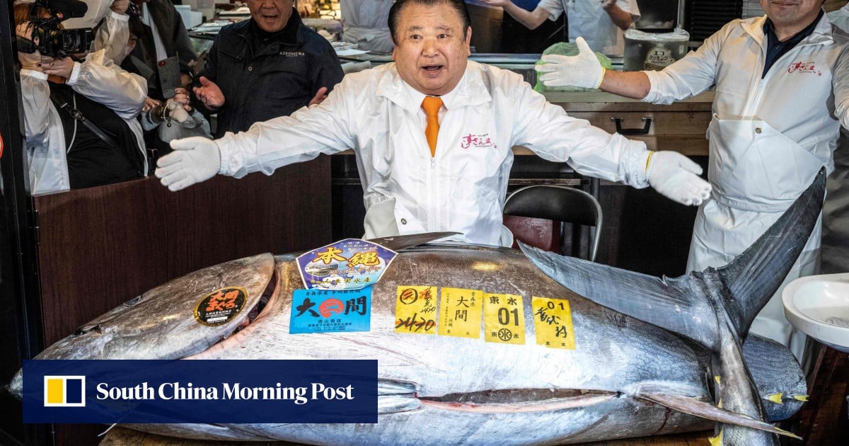 Japanese sushi tycoon pays fin-tastic record of US$3.2 million for bluefin tuna