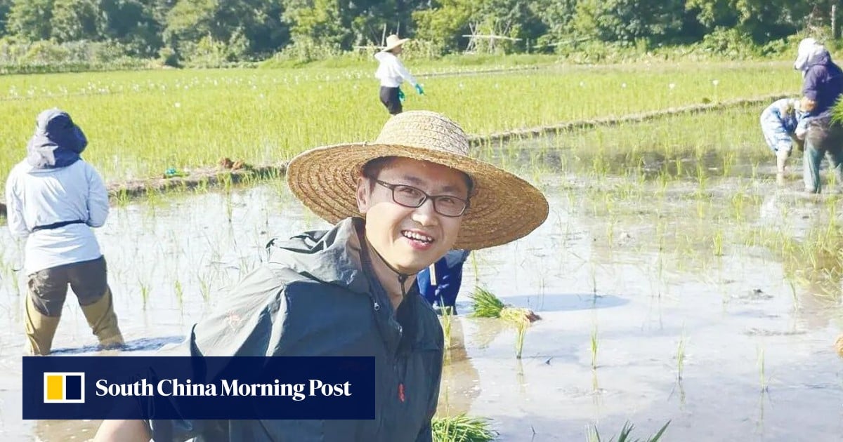 China creates world’s first clone-hybrid rice that could double global output