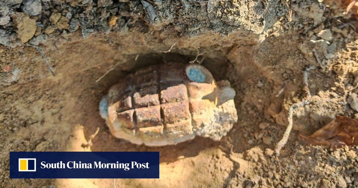 Hong Kong police safely dispose of WWII British grenade found in park