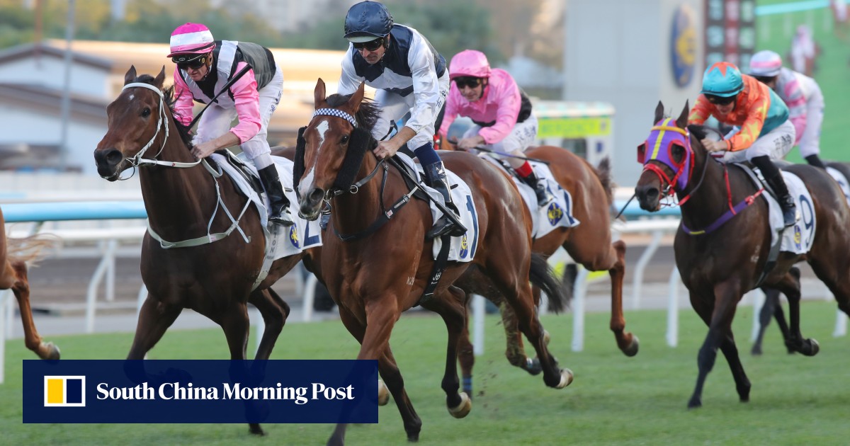 Invincible Ibis makes another Classic Mile statement as Mark Newnham continues stellar season