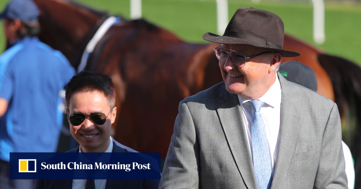 David Hayes ends nightmare week on a high as Money Catcher rolls back the years at Sha Tin