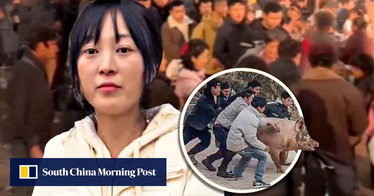 Chinese woman seeks online help to slaughter pigs, attracting over 1,000 volunteers to her farm