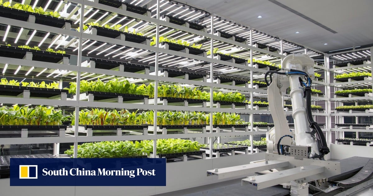 Can Singapore’s farming future grow in Malaysia’s US$123 million agriculture hub?