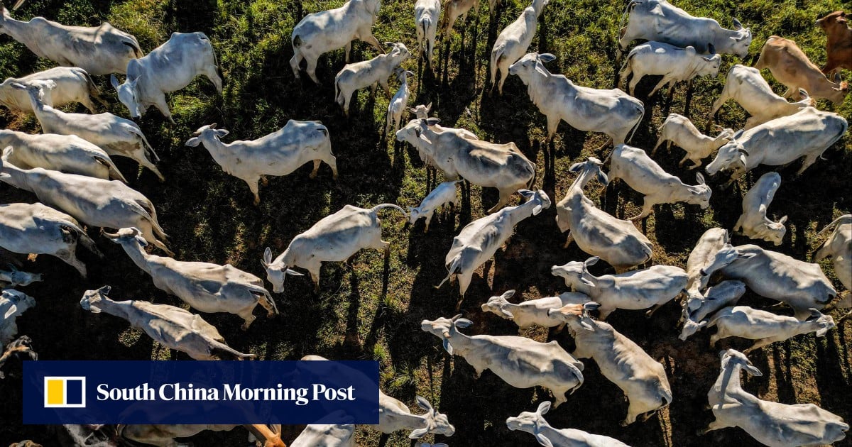 Brazil-China trade hits record US$171 billion in 2025 as US tariffs prompt export pivot