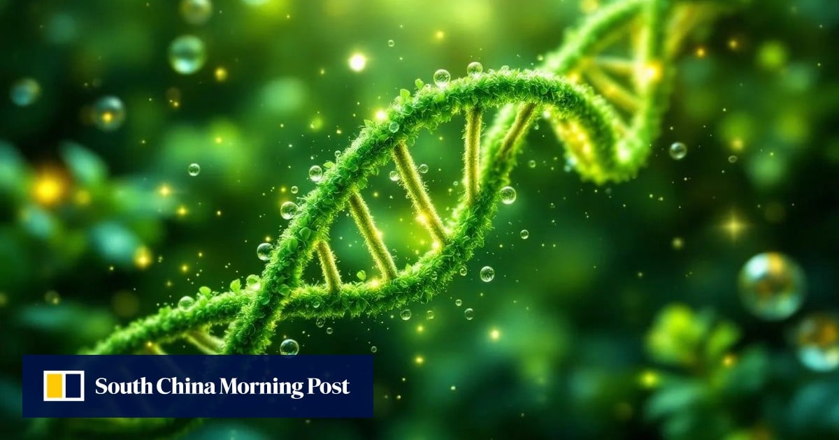 China’s 7,000-year-old sunmao woodwork leads to world’s most efficient DNA editing tool