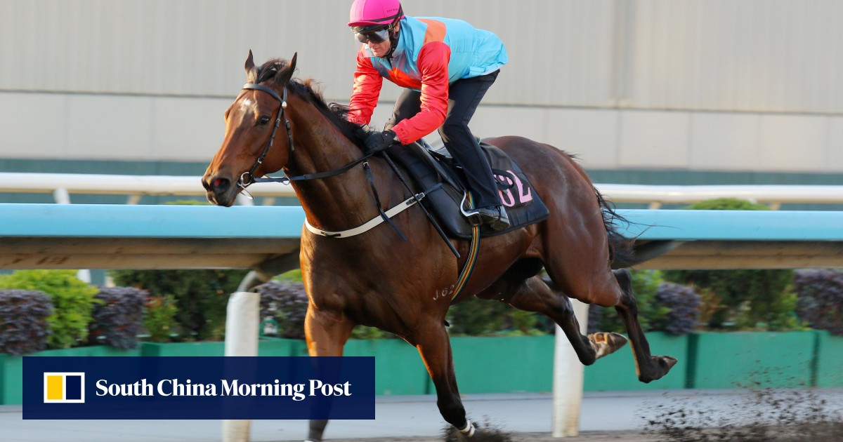 ‘He’s exactly where I want him’ – David Hayes bullish as Ka Ying Rising wins Sha Tin trial