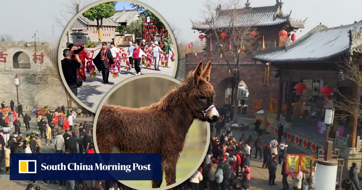 Nearly all residents in historic China village act in local TV miniseries; even livestock are hired
