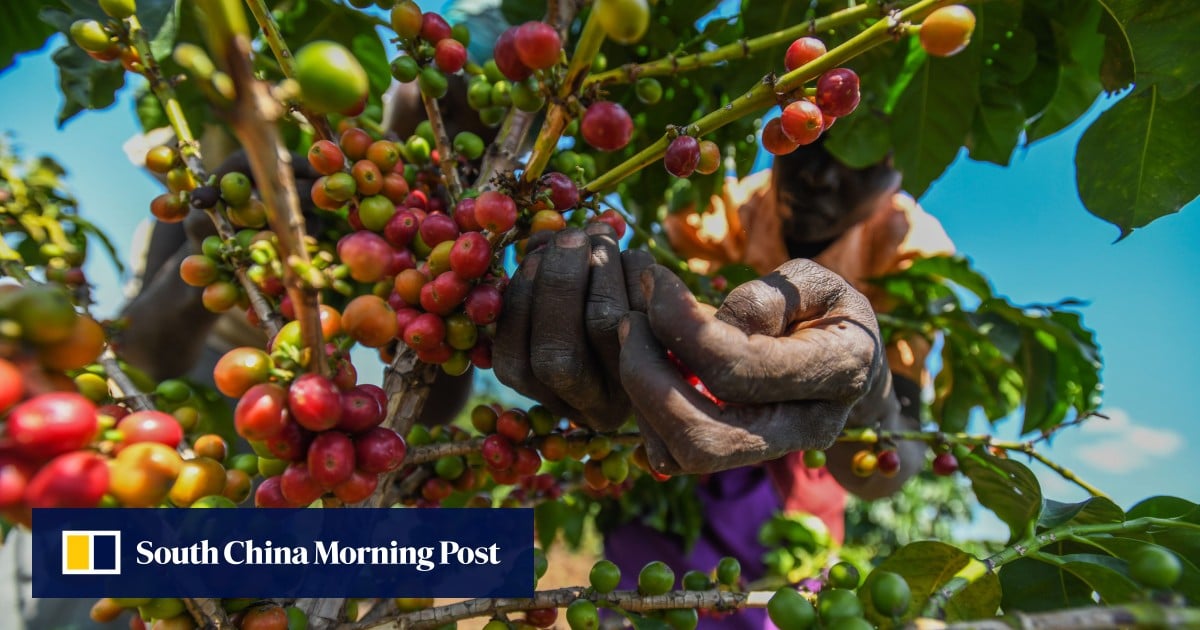 Why ‘monumental’ China duty-free trade deal has Kenya wanting more