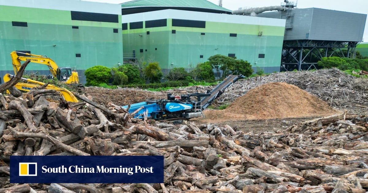 Machinery use suspended after worker severs hand at Hong Kong recycling centre
