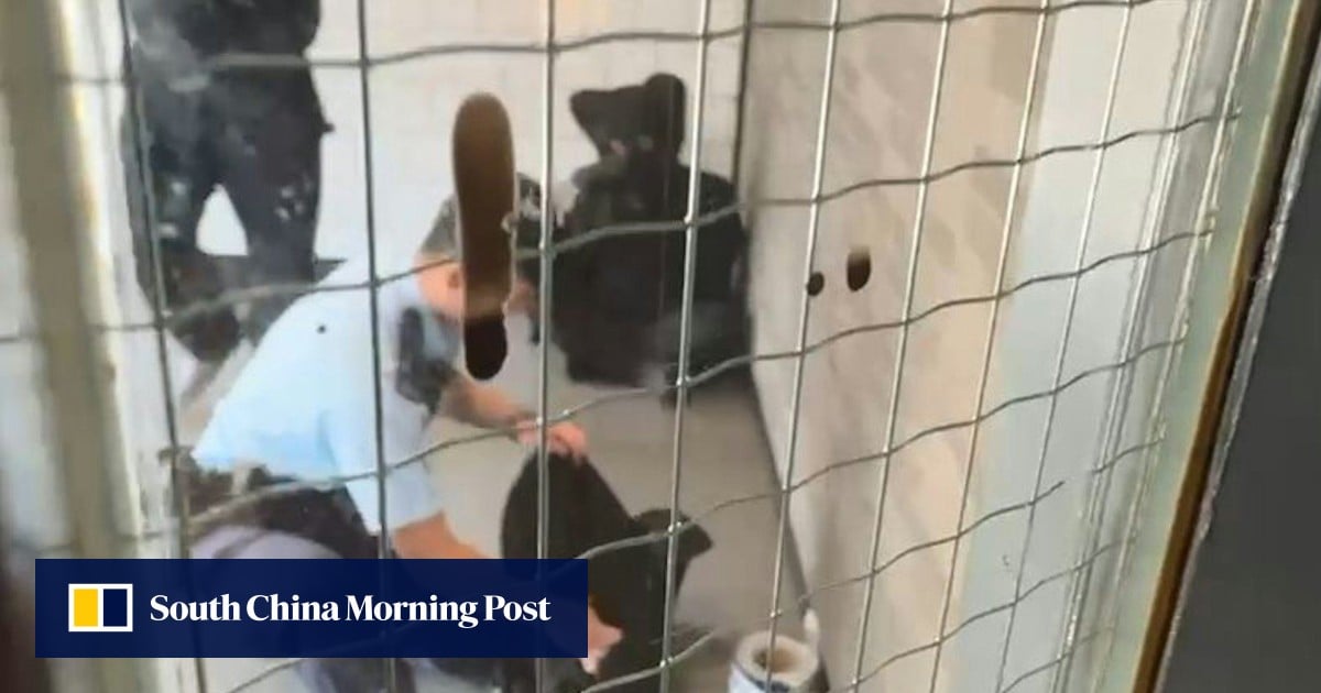 Hong Kong police arrest another man with knife, days after earlier case in Tuen Mun