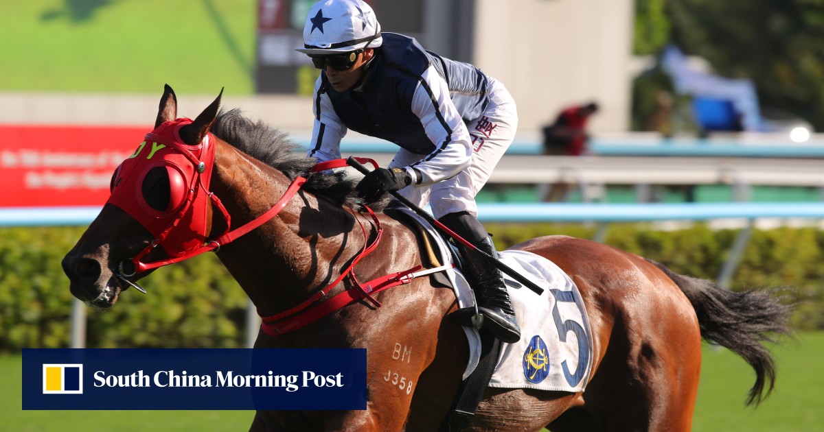 Fast Network on track for Al Quoz Sprint in Dubai after Centenary Sprint Cup