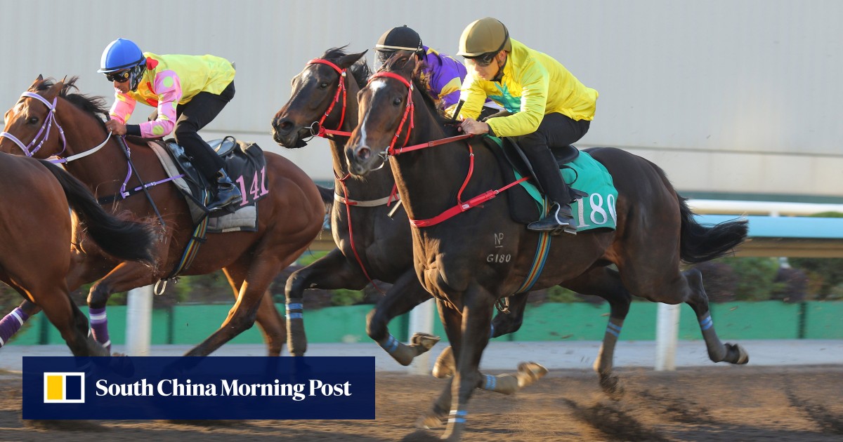 Lucky Sweynesse set for first mile test against Romantic Warrior and Voyage Bubble