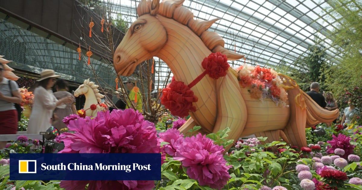 Businesses in Malaysia’s Johor prepare for Singaporeans’ Lunar New Year shopping spree