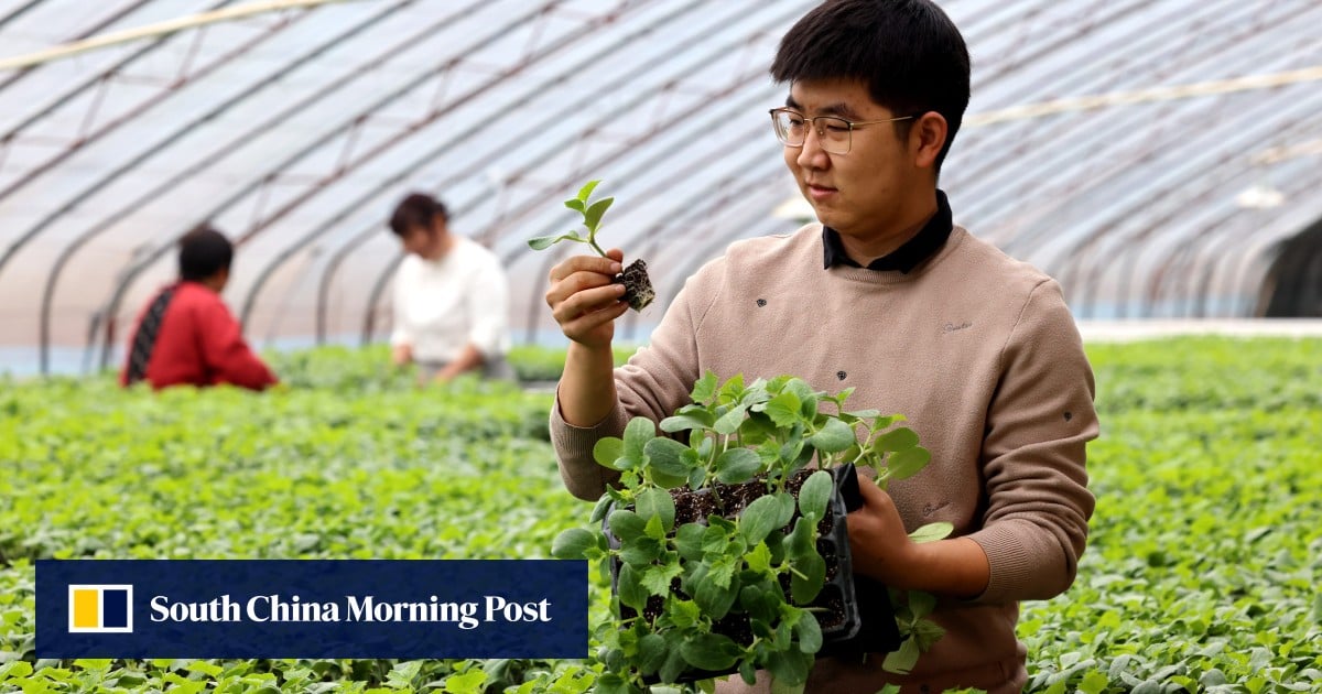 Rooted in resilience: China’s seed push plants agricultural ‘chips’, grows self-reliance