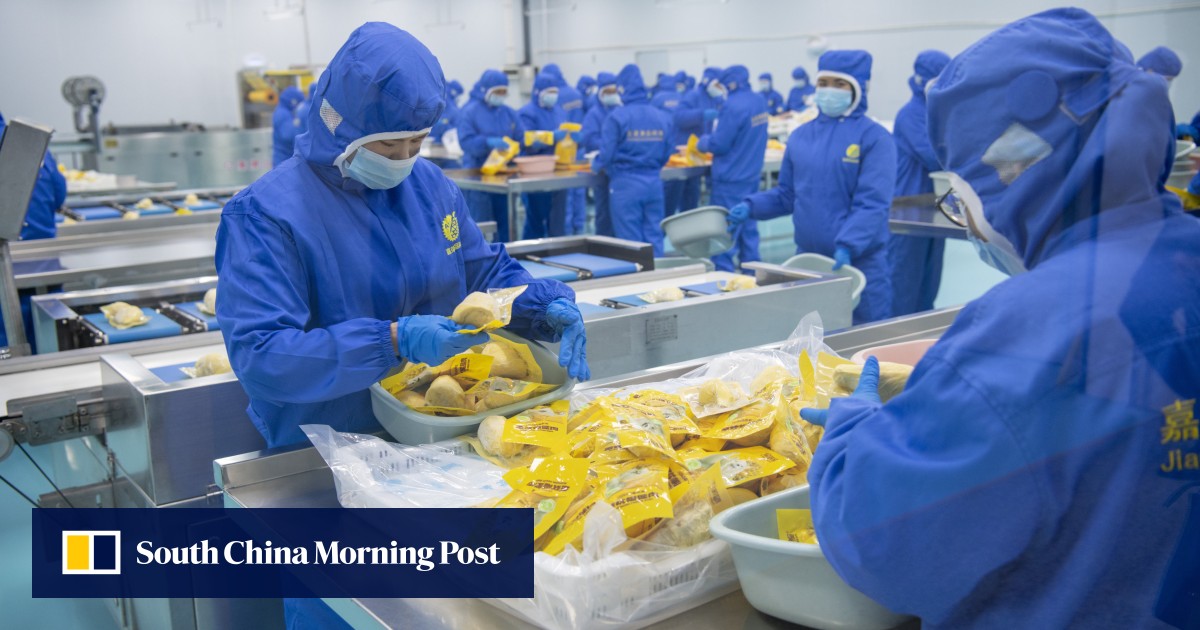 Vietnam grabs bigger slice of China’s durian market as Thailand loses ground