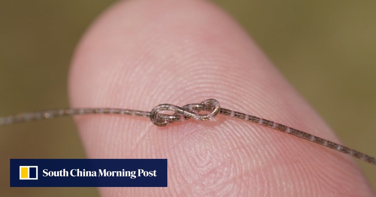 Chinese scientists shrink semiconductor chip into fibre as thin as human hair