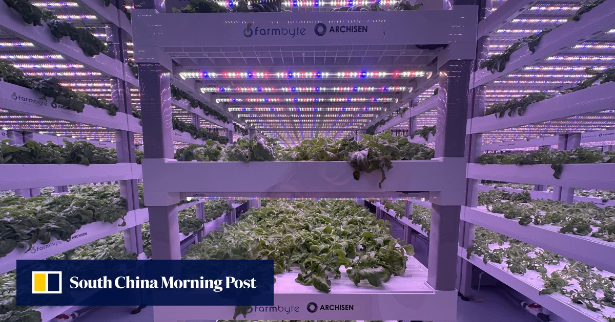 How Johor-Singapore SEZ is delivering for businesses a year on