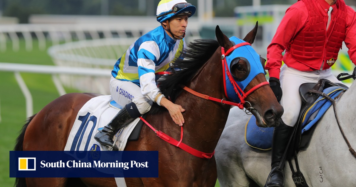 Matthew Chadwick is excited to reunite with classy Patch Of Cosmo in Classic Mile