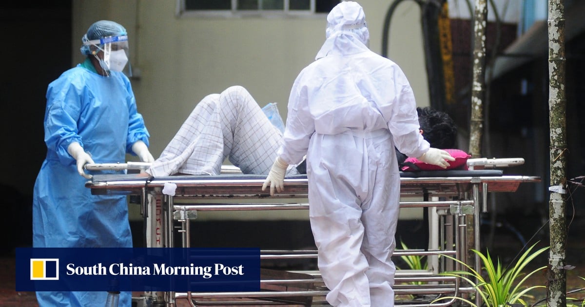 Nipah virus outbreak in India sparks worry in China before Lunar New Year - South China Morning Post