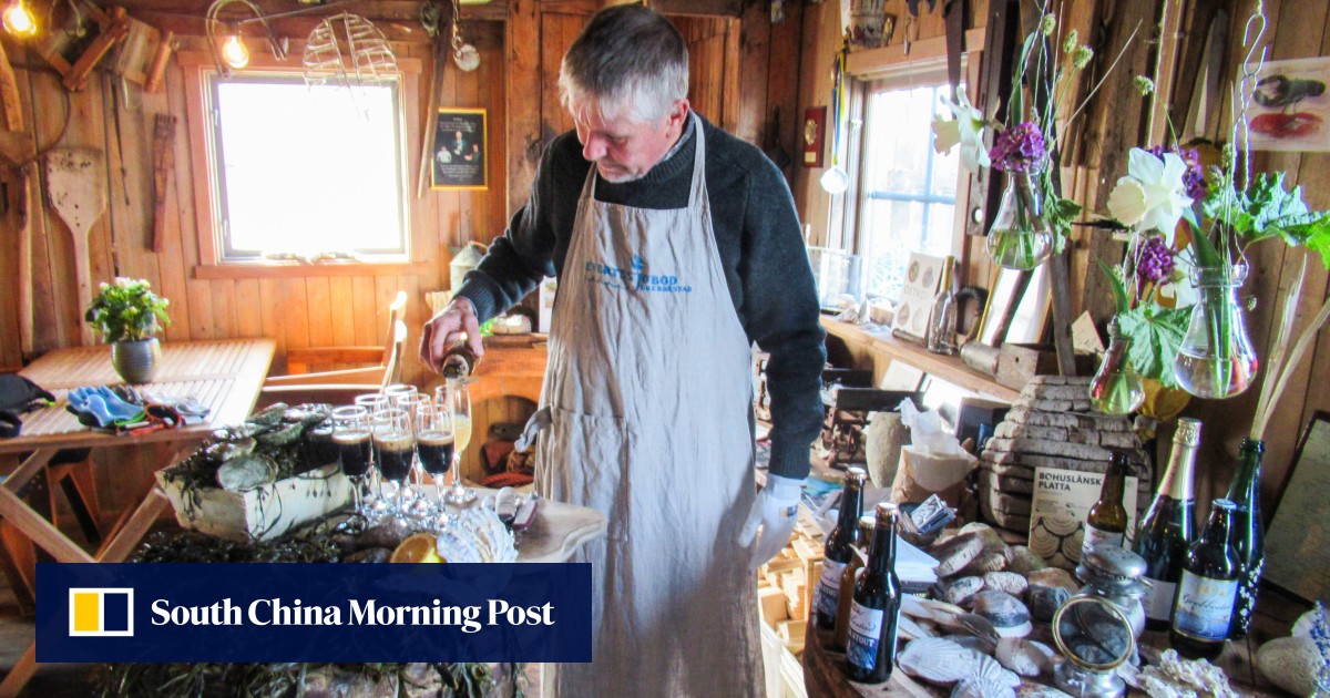 Taste Sweden’s delicious sustainable ‘blue food’ fresh from the sea on boat tours