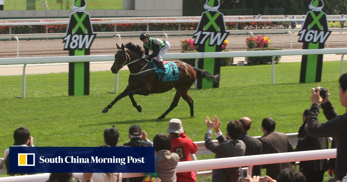 Year of the Horse: meet 3 equine icons who changed the landscape of Hong Kong racing