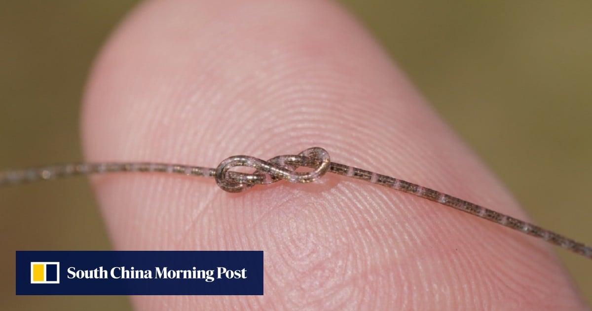 Nipah virus alarms China, semiconductor fibre breakthrough: 7 science highlights