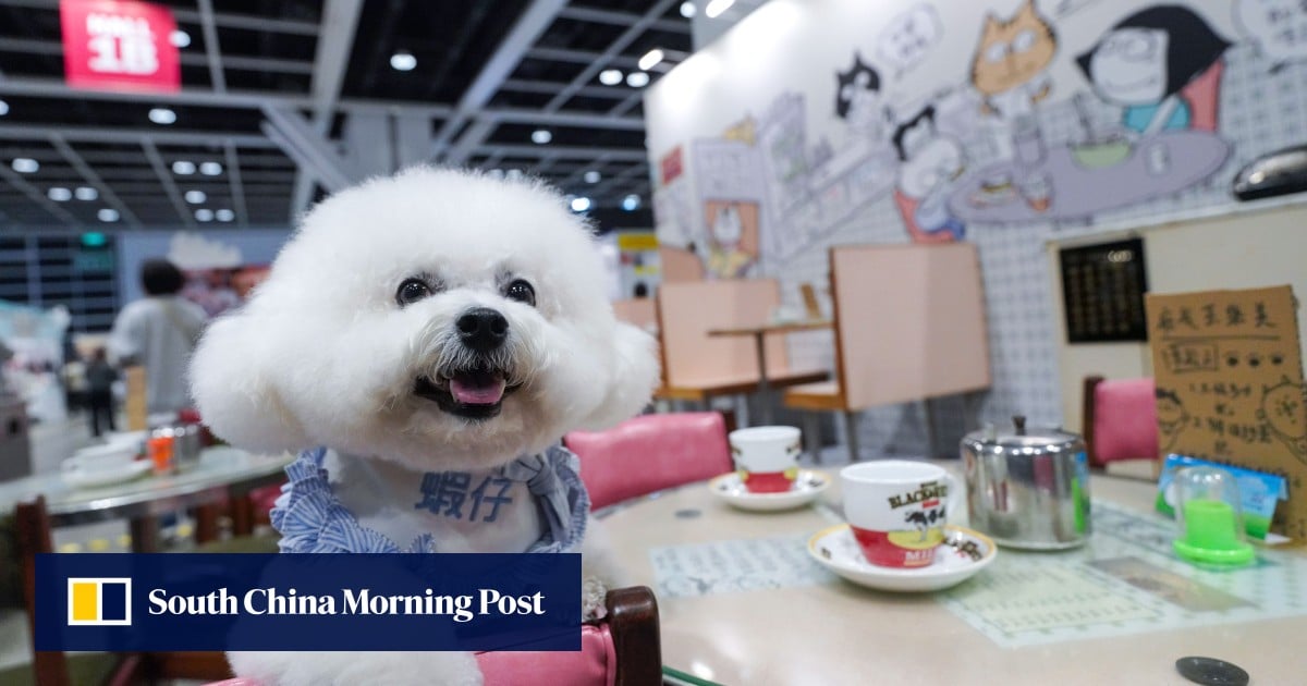 Pawsitively posh: Hong Kong Pet Show takes luxury to new heights