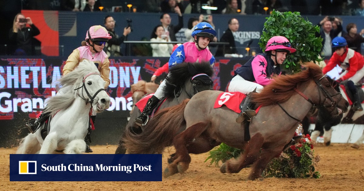 Longines Hong Kong International Horse Show: glitz, glamour and four-legged performers
