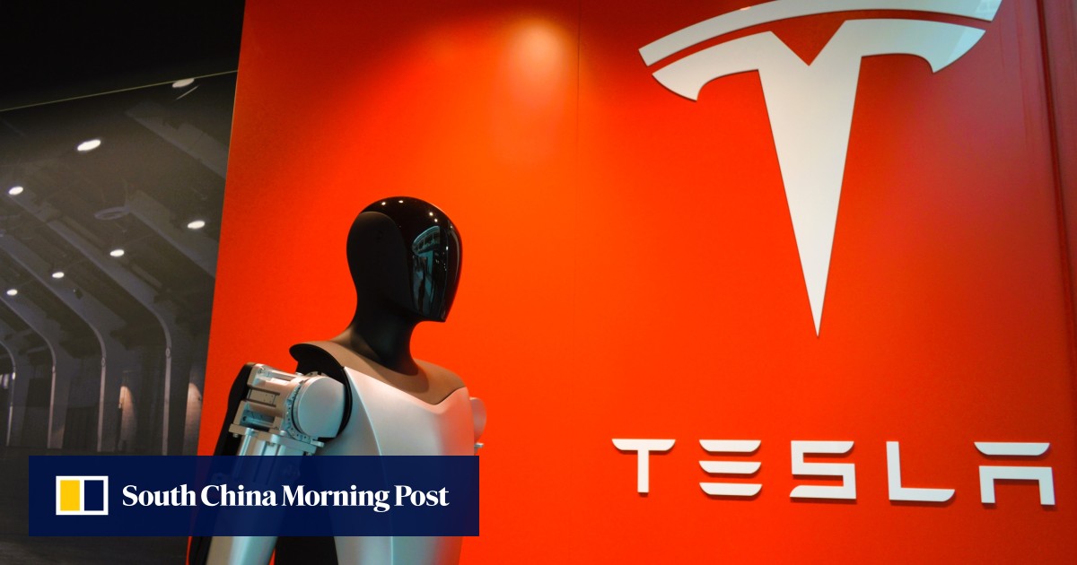 ‘Optimus chain’: Chinese suppliers form the backbone of Tesla’s humanoid robot initiative