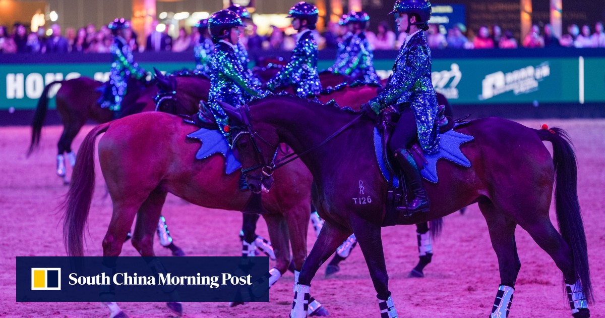 From racing to moving to music, Jockey Club gives retired racehorses new lease of life