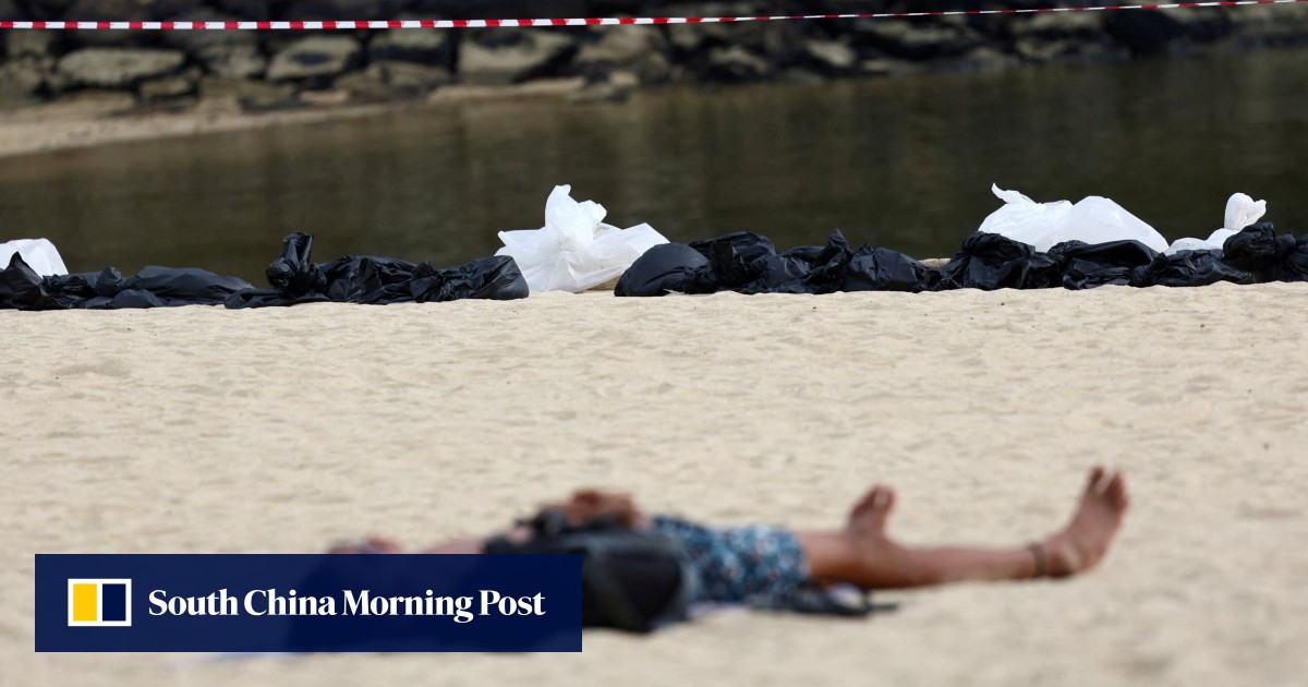Singapore’s Sentosa halts water fun after crocodile sighting