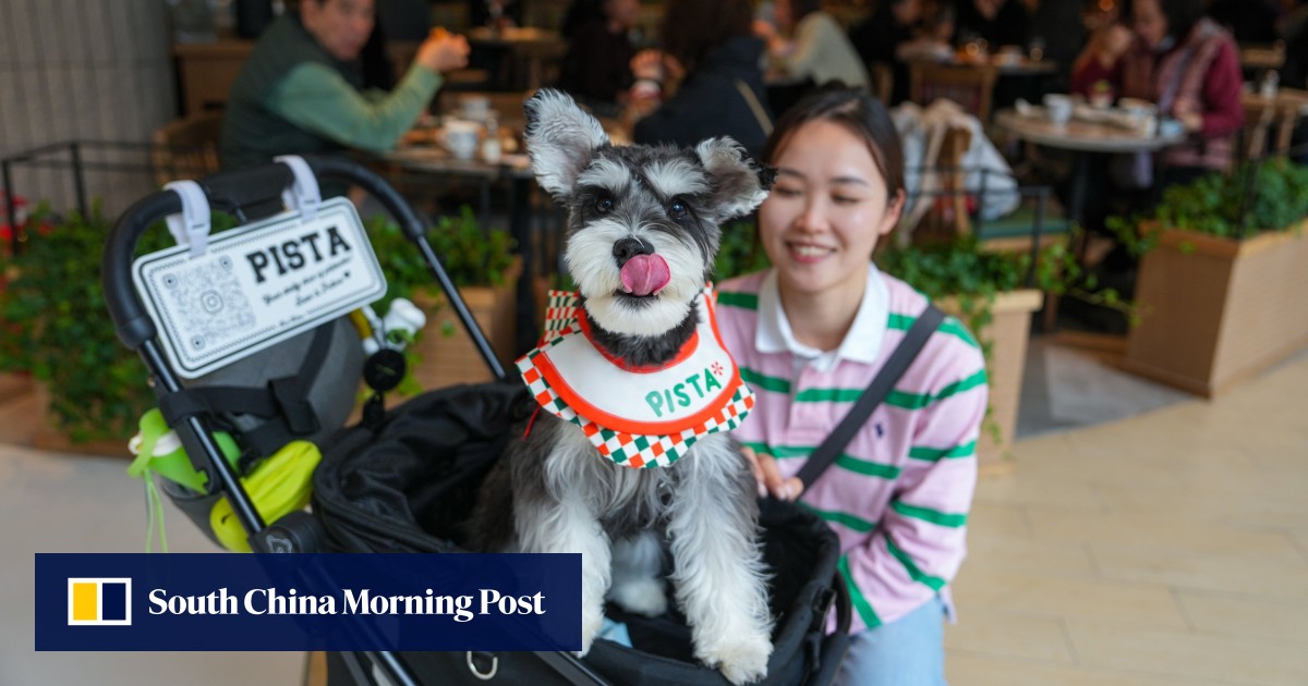 Government’s proposal for dogs in eateries a ‘step forward’ for Hong Kong: lawmakers