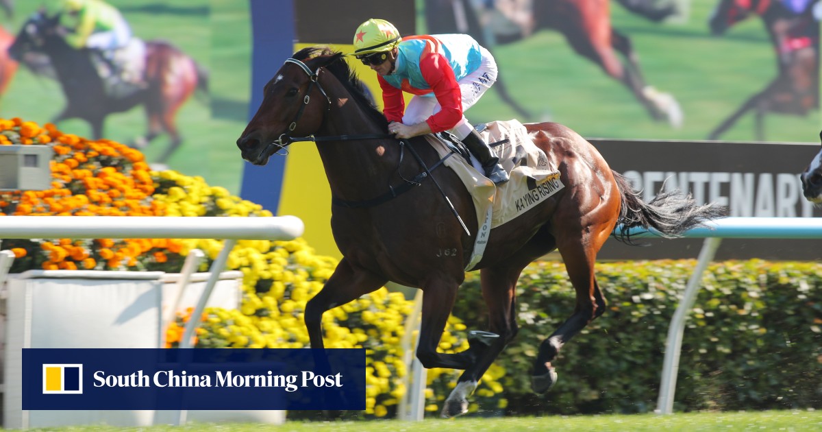 The state of play as the Hong Kong racing season approaches halfway point
