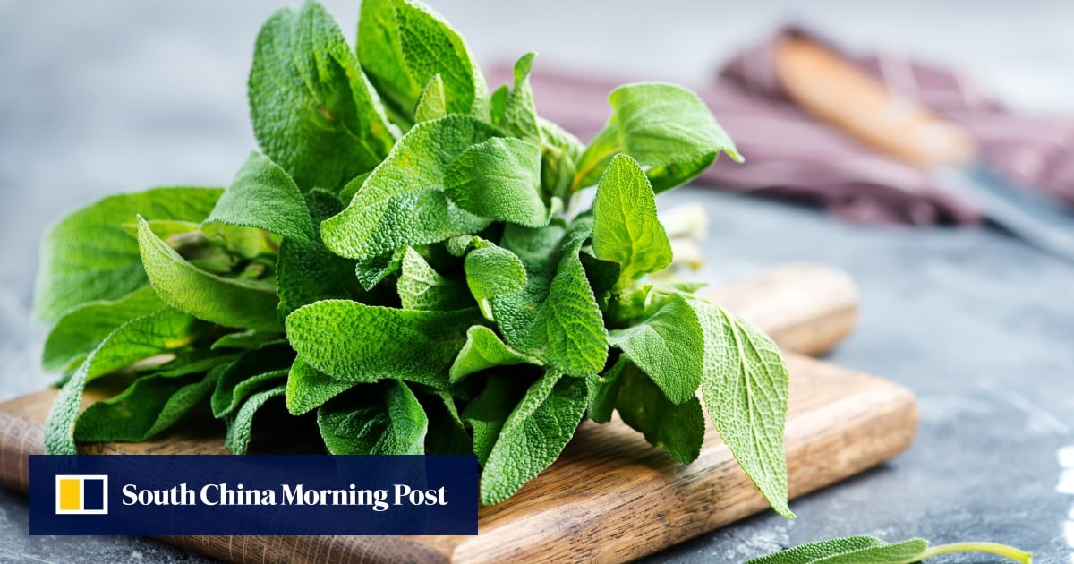 How to use sage and 3 recipes that make the most of its savoury flavour