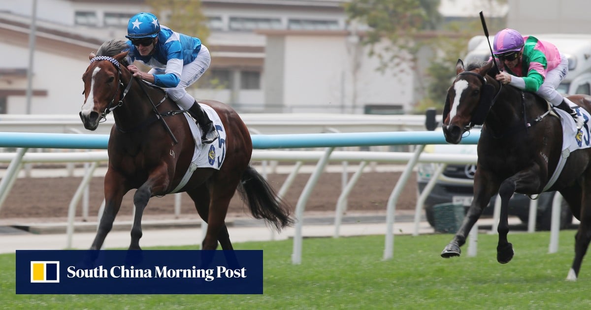 Lucky Ranger a smart one for Mark Newnham as title fight with David Hayes heats up